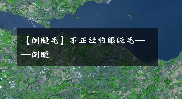 【倒睫毛】不正經(jīng)的眼眨毛——倒睫