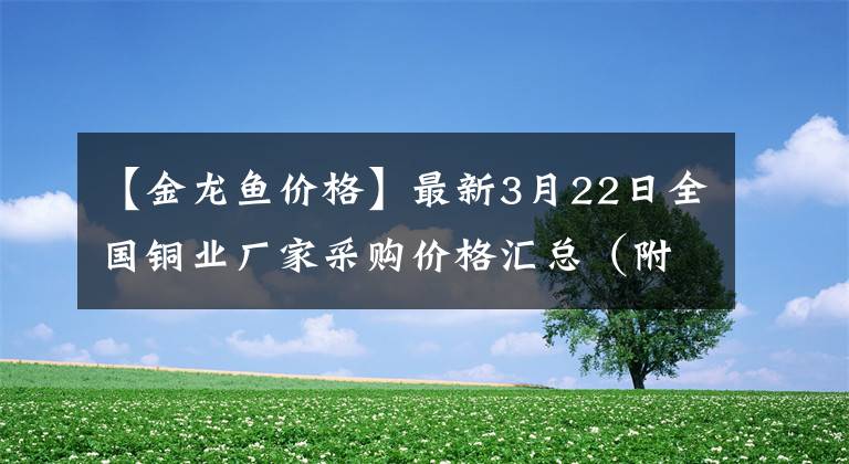 【金龍魚價(jià)格】最新3月22日全國銅業(yè)廠家采購價(jià)格匯總（附銅業(yè)價(jià)格表）