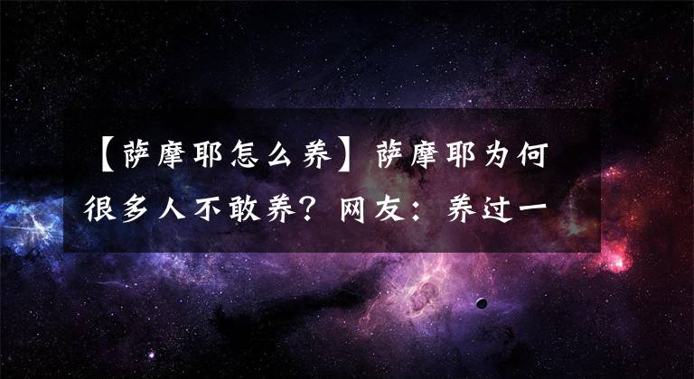 【薩摩耶怎么養(yǎng)】薩摩耶為何很多人不敢養(yǎng)？網(wǎng)友：養(yǎng)過一次都怕了