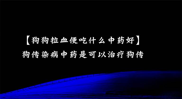 【狗狗拉血便吃什么中藥好】狗傳染病中藥是可以治療狗傳染病的中藥配方。