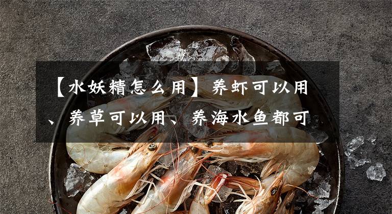 【水妖精怎么用】養(yǎng)蝦可以用、養(yǎng)草可以用、養(yǎng)海水魚都可以用的過濾方式