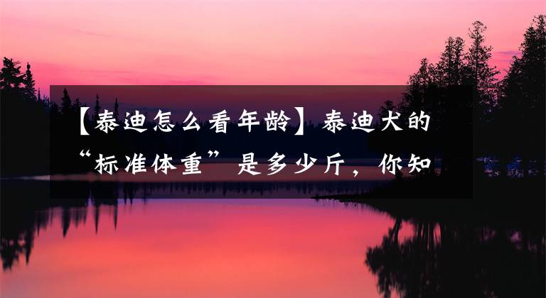 【泰迪怎么看年齡】泰迪犬的“標(biāo)準(zhǔn)體重”是多少斤，你知道嗎？