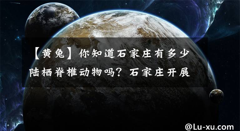 【黃兔】你知道石家莊有多少陸棲脊椎動(dòng)物嗎？石家莊開(kāi)展世界野生動(dòng)植物日宣傳活動(dòng)