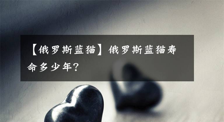 【俄羅斯藍(lán)貓】俄羅斯藍(lán)貓壽命多少年？