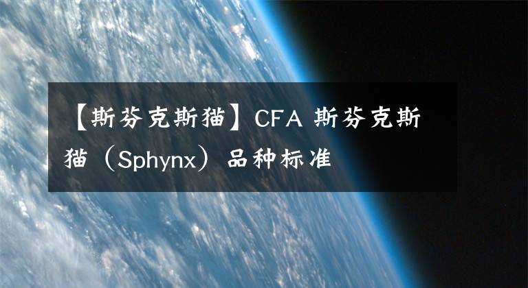 【斯芬克斯貓】CFA 斯芬克斯貓（Sphynx）品種標(biāo)準(zhǔn)