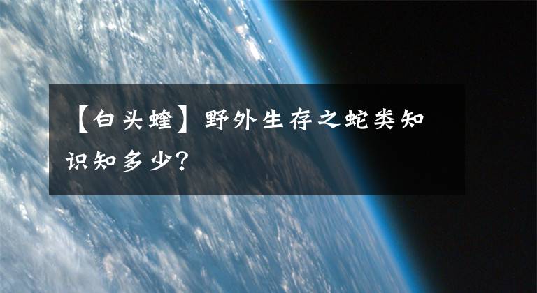 【白頭蝰】野外生存之蛇類知識(shí)知多少？