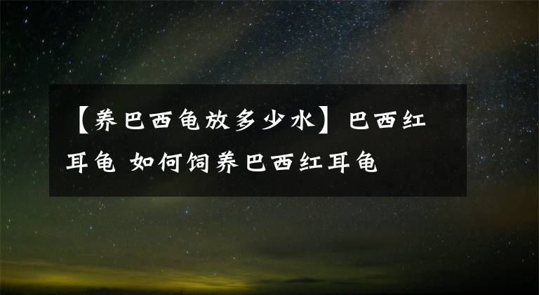 【養(yǎng)巴西龜放多少水】巴西紅耳龜 如何飼養(yǎng)巴西紅耳龜