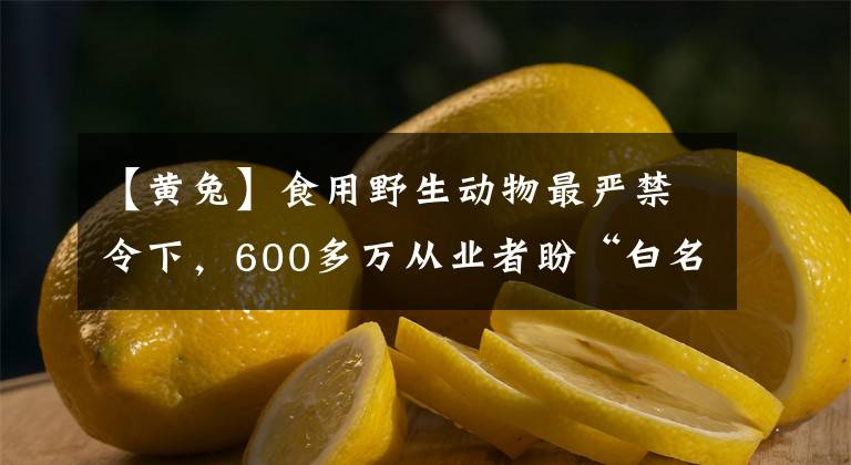 【黃兔】食用野生動物最嚴禁令下，600多萬從業(yè)者盼“白名單”，從業(yè)者認為鴕鳥、鱷魚或不會禁