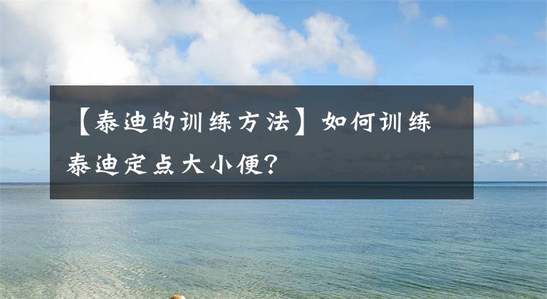 【泰迪的訓(xùn)練方法】如何訓(xùn)練泰迪定點(diǎn)大小便？