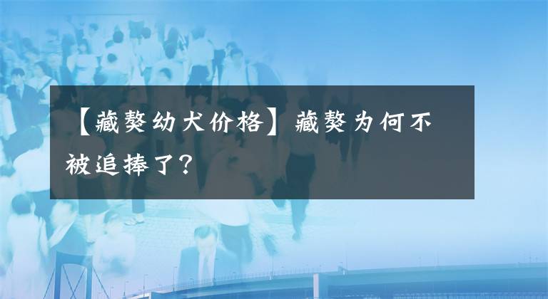 【藏獒幼犬價格】藏獒為何不被追捧了？