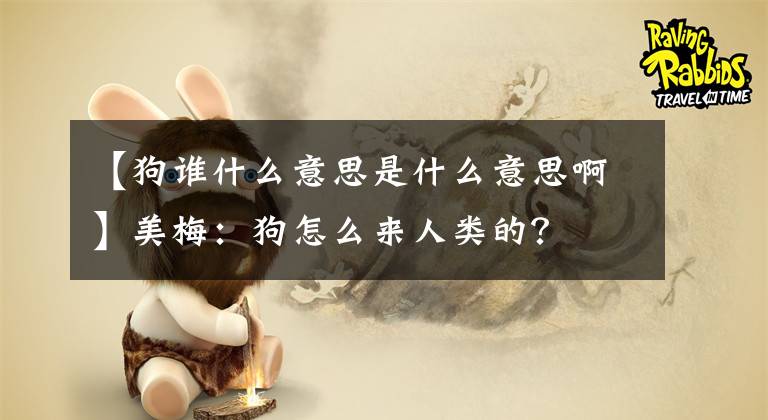 【狗誰什么意思是什么意思啊】美梅：狗怎么來人類的？