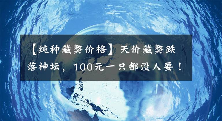 【純種藏獒價格】天價藏獒跌落神壇，100元一只都沒人要！怪誰？