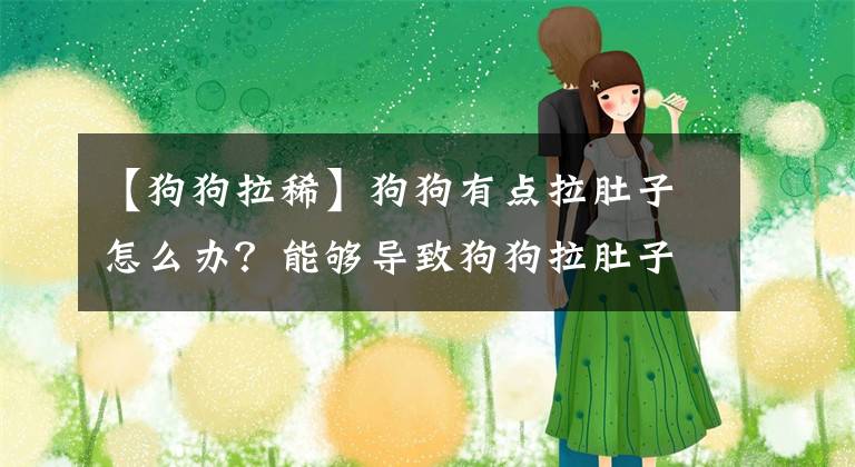 【狗狗拉稀】狗狗有點(diǎn)拉肚子怎么辦？能夠?qū)е鹿饭防亲拥脑蚣疤幚泶胧?></a></div> <div   id=