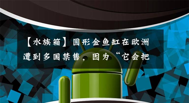 【水族箱】圓形金魚缸在歐洲遭到多國禁售，因為“它會把金魚逼瘋”?