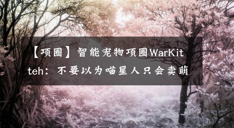 【項(xiàng)圈】智能寵物項(xiàng)圈WarKitteh：不要以為喵星人只會賣萌，它們還能黑掉WiFi