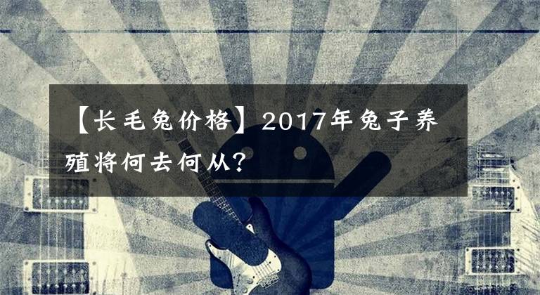 【長(zhǎng)毛兔價(jià)格】2017年兔子養(yǎng)殖將何去何從？