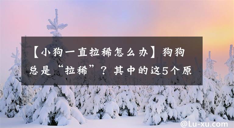 【小狗一直拉稀怎么辦】狗狗總是“拉稀”？其中的這5個(gè)原因，你真正了解過(guò)沒(méi)？