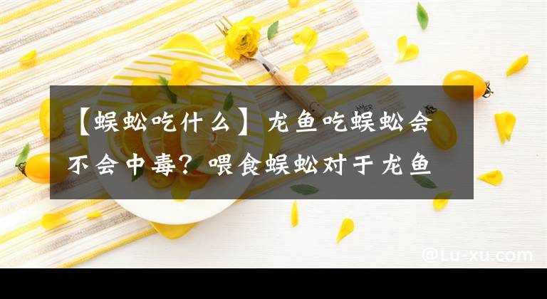 【蜈蚣吃什么】龍魚吃蜈蚣會不會中毒？喂食蜈蚣對于龍魚發(fā)色是否有作用？