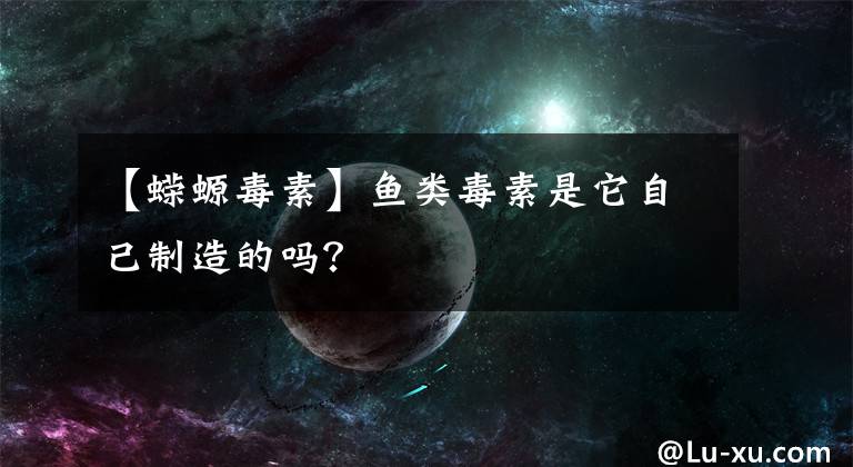 【蠑螈毒素】魚類毒素是它自己制造的嗎？