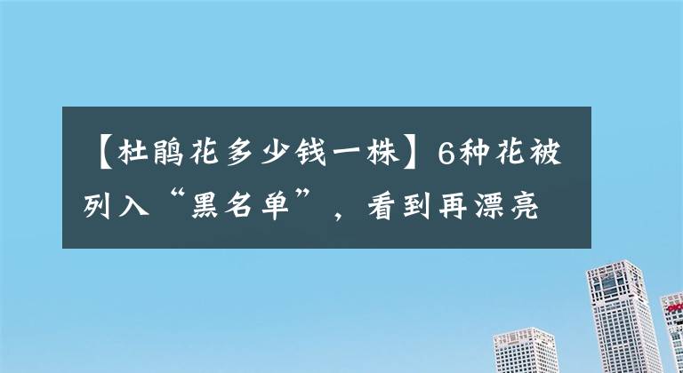 【杜鵑花多少錢一株】6種花被列入“黑名單”，看到再漂亮也別買，因為家庭條件不合適