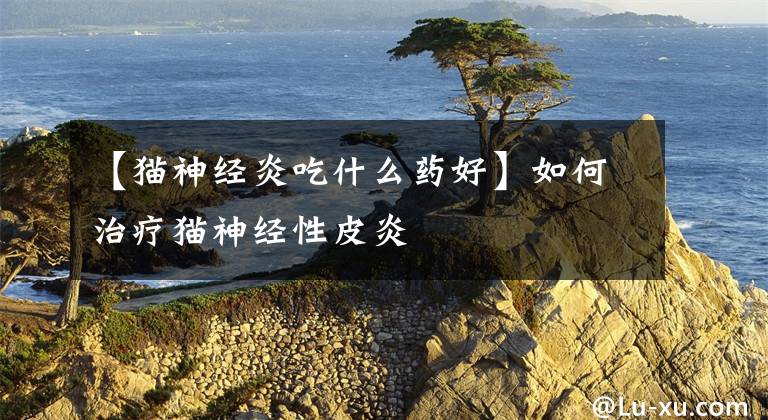 【貓神經(jīng)炎吃什么藥好】如何治療貓神經(jīng)性皮炎