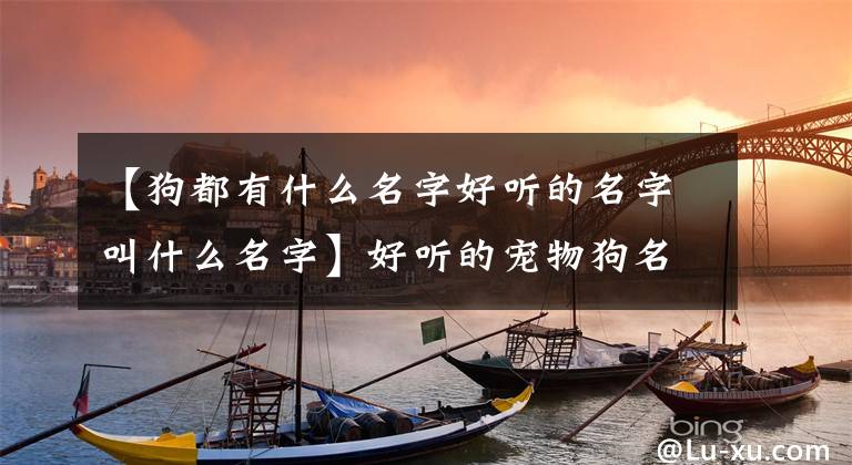 【狗都有什么名字好聽(tīng)的名字叫什么名字】好聽(tīng)的寵物狗名字活潑、調(diào)皮、新穎-可愛(ài)