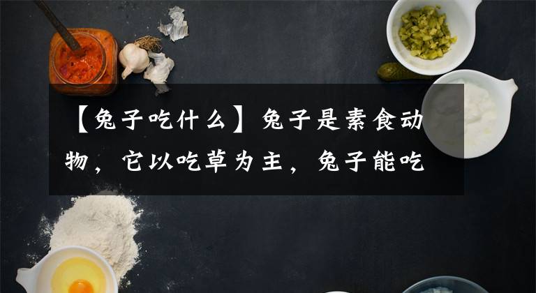 【兔子吃什么】兔子是素食動(dòng)物，它以吃草為主，兔子能吃菠菜嗎