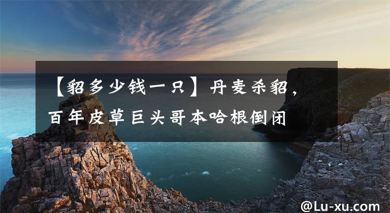 【貂多少錢一只】丹麥殺貂，百年皮草巨頭哥本哈根倒閉　商戶瘋搶進口貂皮：一件大衣成本漲千元