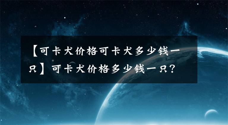 【可卡犬價格可卡犬多少錢一只】可卡犬價格多少錢一只？可卡犬是什么狗好養(yǎng)嗎？