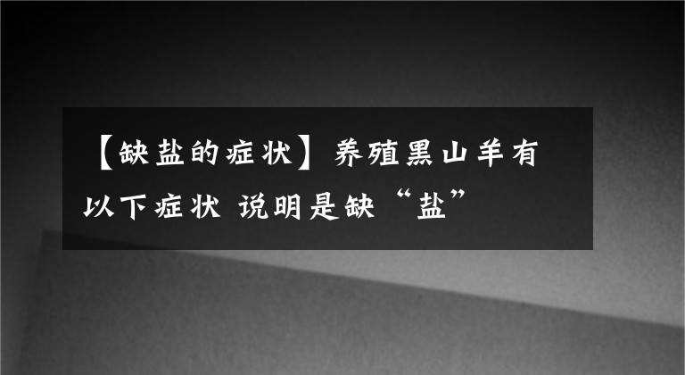 【缺鹽的癥狀】養(yǎng)殖黑山羊有以下癥狀 說明是缺“鹽”