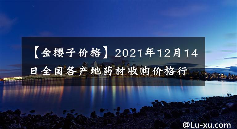 【金櫻子價(jià)格】2021年12月14日全國(guó)各產(chǎn)地藥材收購(gòu)價(jià)格行情