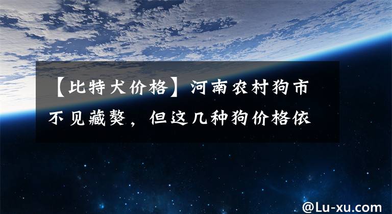 【比特犬價(jià)格】河南農(nóng)村狗市不見(jiàn)藏獒，但這幾種狗價(jià)格依然過(guò)千上萬(wàn)！見(jiàn)過(guò)嗎？