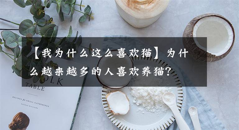 【我為什么這么喜歡貓】為什么越來(lái)越多的人喜歡養(yǎng)貓？