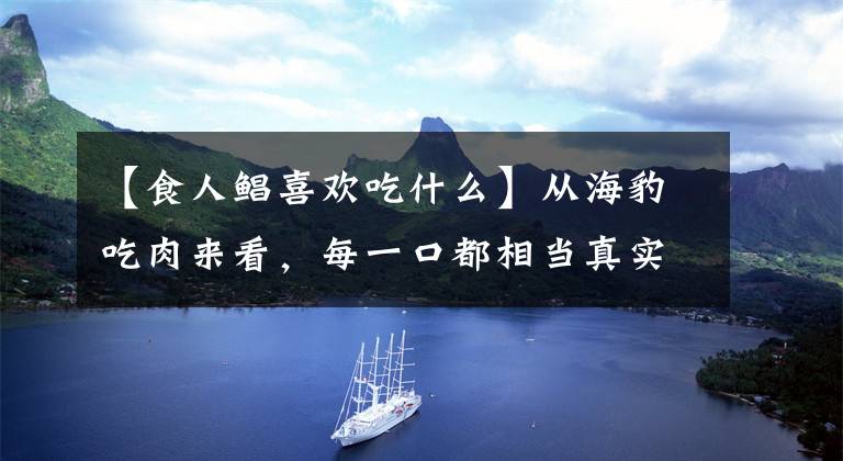 【食人鯧喜歡吃什么】從海豹吃肉來(lái)看，每一口都相當(dāng)真實(shí)