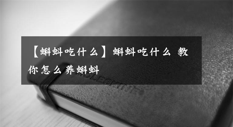 【蝌蚪吃什么】蝌蚪吃什么 教你怎么養(yǎng)蝌蚪