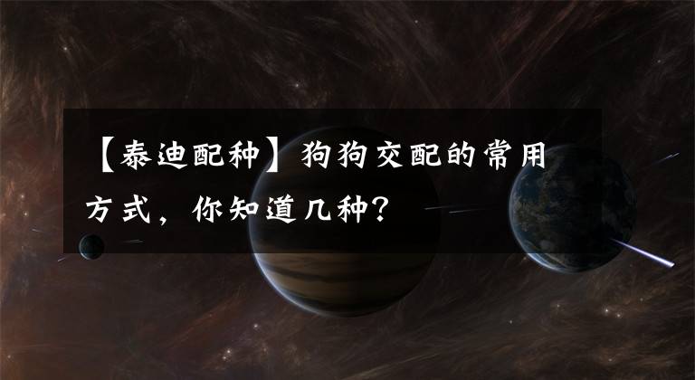 【泰迪配種】狗狗交配的常用方式，你知道幾種？