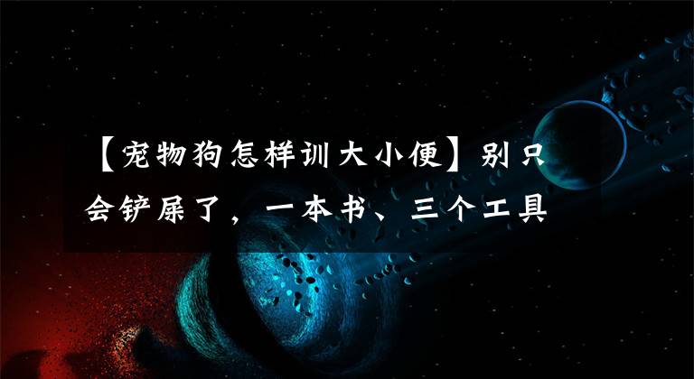 【寵物狗怎樣訓大小便】別只會鏟屎了，一本書、三個工具，手把手教你訓練貓咪