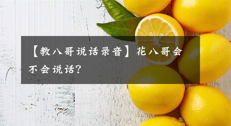 【教八哥說話錄音】花八哥會(huì)不會(huì)說話？