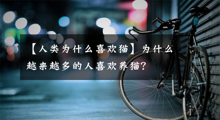 【人類為什么喜歡貓】為什么越來越多的人喜歡養(yǎng)貓？