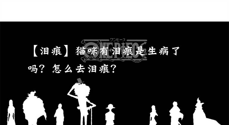 【淚痕】貓咪有淚痕是生病了嗎？怎么去淚痕？