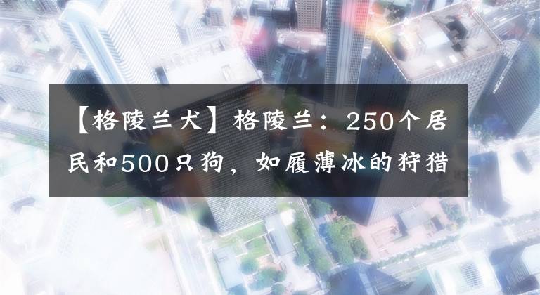 【格陵蘭犬】格陵蘭：250個居民和500只狗，如履薄冰的狩獵民族