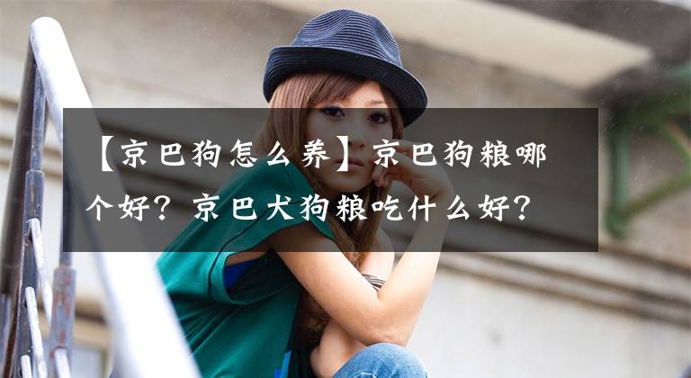 【京巴狗怎么養(yǎng)】京巴狗糧哪個好？京巴犬狗糧吃什么好？