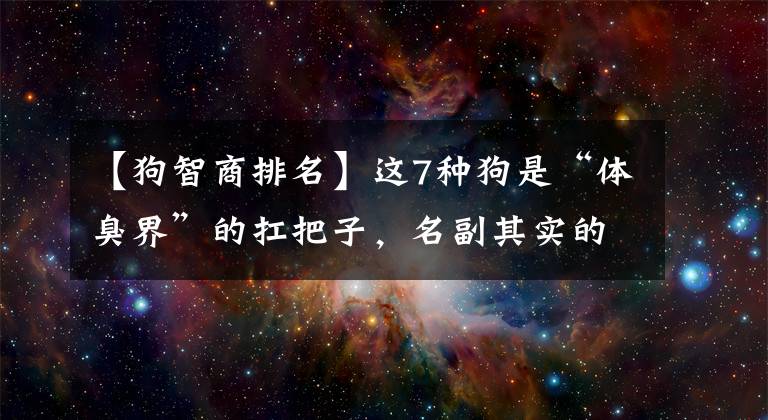 【狗智商排名】這7種狗是“體臭界”的扛把子，名副其實(shí)的“臭狗”