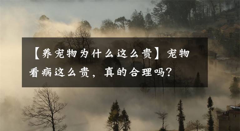 【養(yǎng)寵物為什么這么貴】寵物看病這么貴，真的合理嗎？