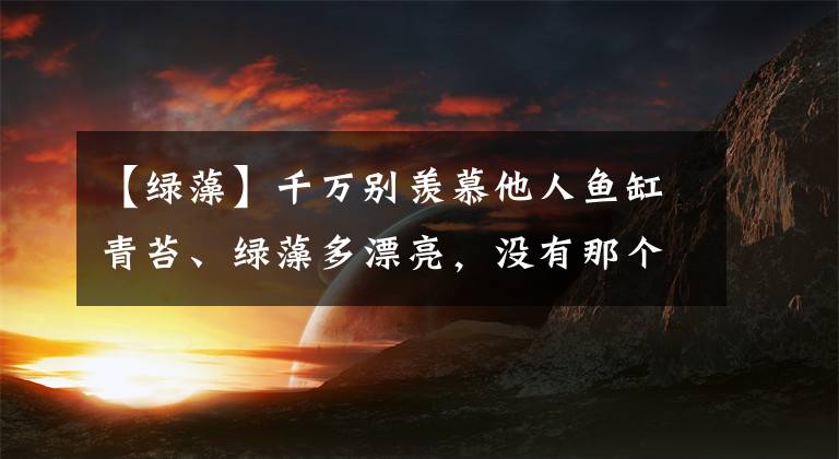 【綠藻】千萬別羨慕他人魚缸青苔、綠藻多漂亮，沒有那個(gè)時(shí)間精力根本不行