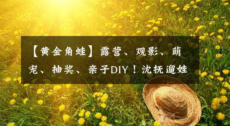 【黃金角蛙】露營(yíng)、觀影、萌寵、抽獎(jiǎng)、親子DIY！沈撫遛娃勝地等你來