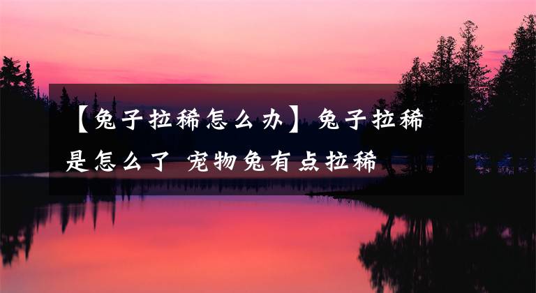 【兔子拉稀怎么辦】兔子拉稀是怎么了 寵物兔有點(diǎn)拉稀