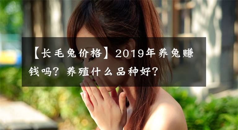 【長毛兔價格】2019年養(yǎng)兔賺錢嗎？養(yǎng)殖什么品種好？