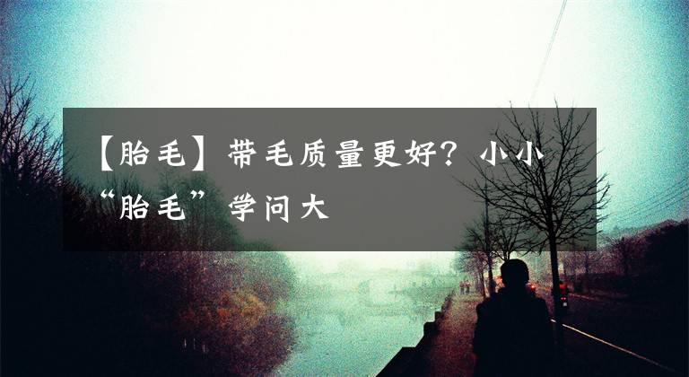 【胎毛】帶毛質(zhì)量更好？小小“胎毛”學(xué)問大