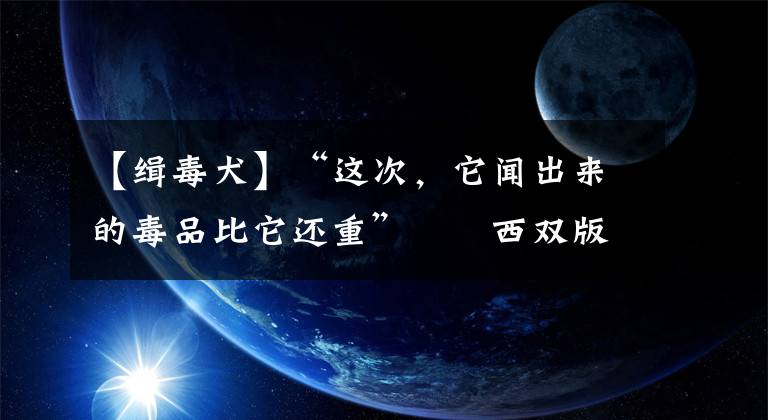 【緝毒犬】“這次，它聞出來的毒品比它還重”――西雙版納邊境管理支隊(duì)警犬“颶風(fēng)”緝毒紀(jì)實(shí)